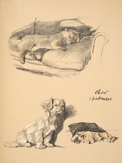 Chow und Pekinese, 1930, Illustrationen aus seinem Skizzenbuch für 